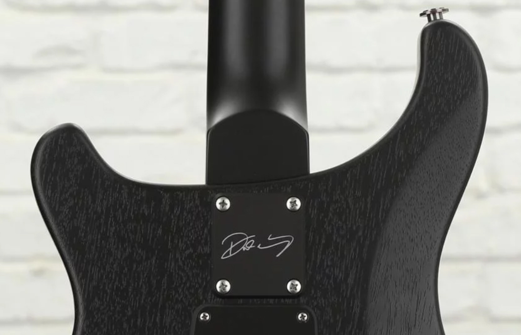 Prs Dustie Waring Dw Ce 24 Floyd Bolt-on Usa Signature 2h Fr Mn - Gray Black - Double Cut E-Gitarre - Variation 4