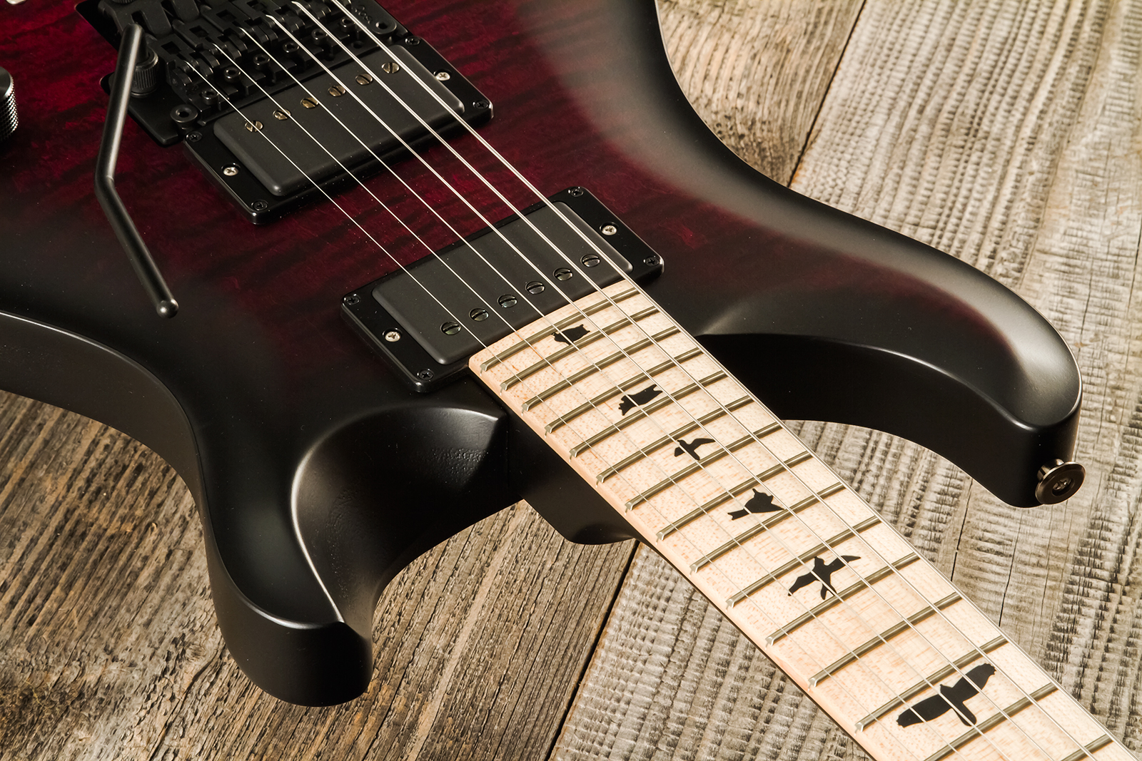 Prs Dustie Waring Dw Ce 24 Floyd Bolt-on Usa Signature 2h Fr Mn - Waring Smokeburst - Double Cut E-Gitarre - Variation 4