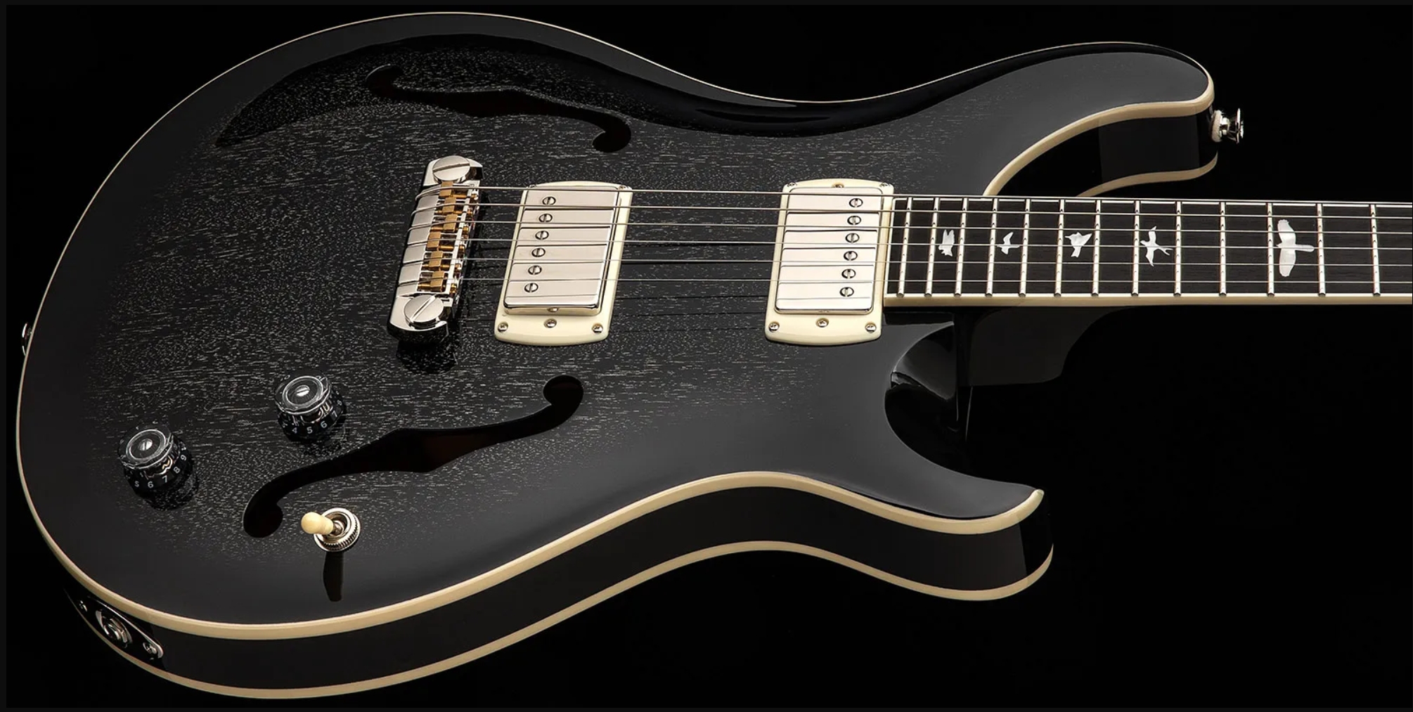 Prs Hollowbody Standard Se 2h Ht Eb - Dog Hair Smokeburst - Semi-Hollow E-Gitarre - Variation 3