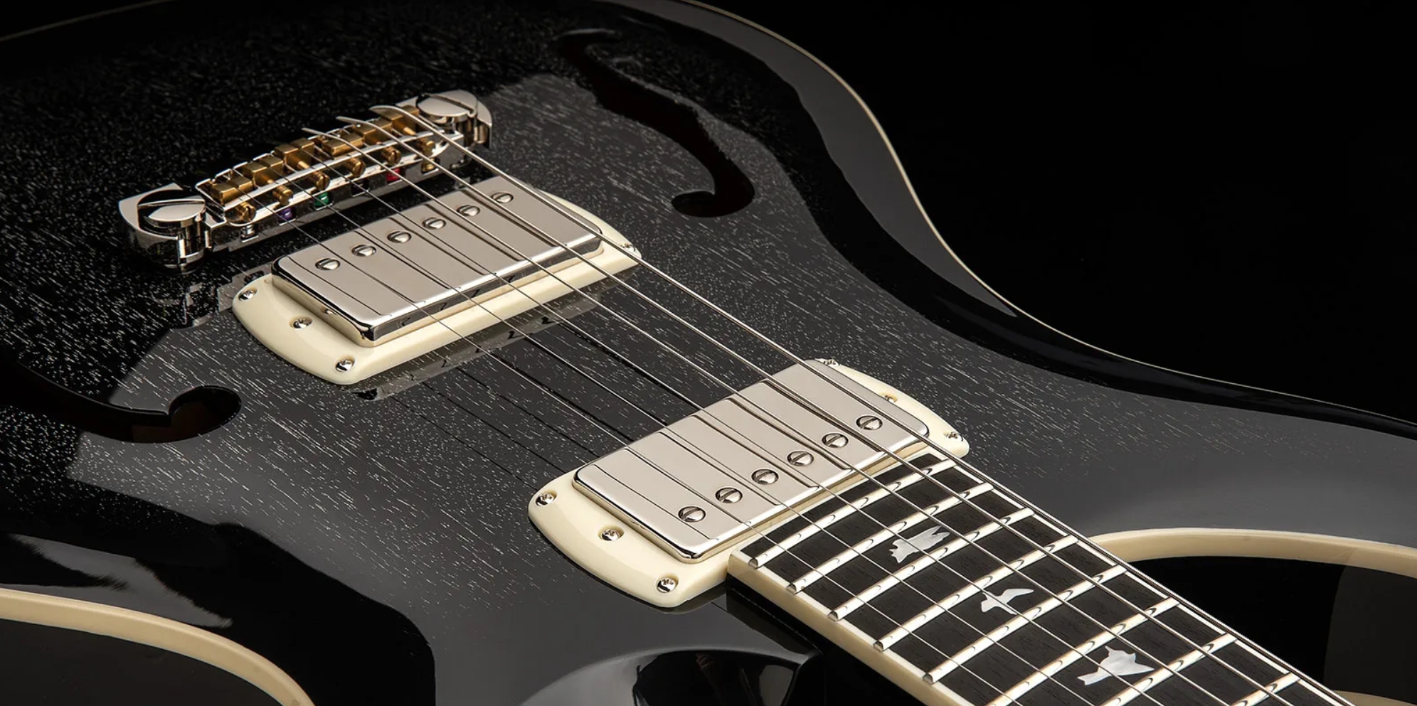 Prs Hollowbody Standard Se 2h Ht Eb - Dog Hair Smokeburst - Semi-Hollow E-Gitarre - Variation 4