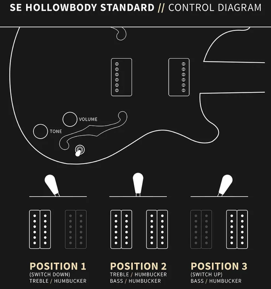 Prs Hollowbody Standard Se 2h Ht Eb - Dog Hair Smokeburst - Semi-Hollow E-Gitarre - Variation 6