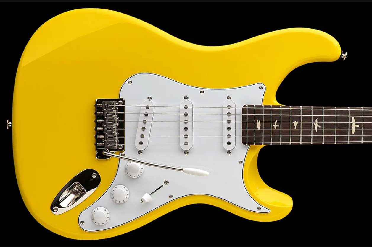 Prs John Mayer Silver Sky Rosewood Se Signature 3s Trem Rw - Dandy Lion - E-Gitarre in Str-Form - Variation 1