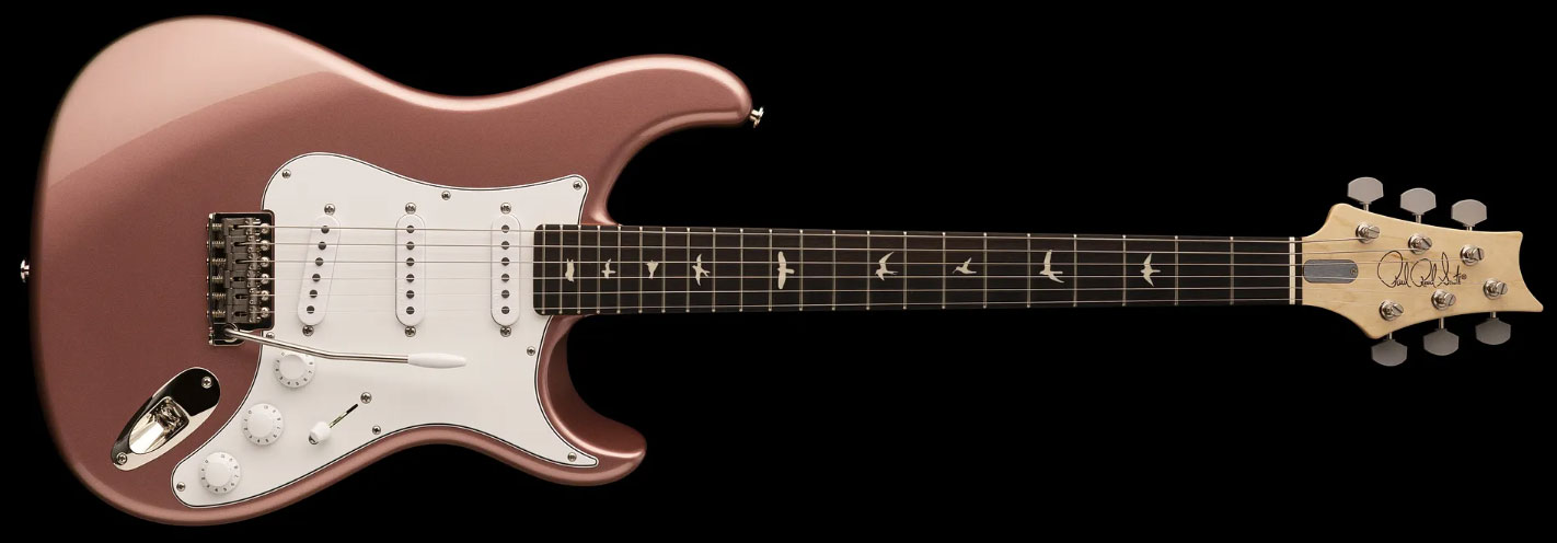 Prs John Mayer Silver Sky Usa Signature 3s Trem Rw - Midnight Rose - E-Gitarre in Str-Form - Variation 1