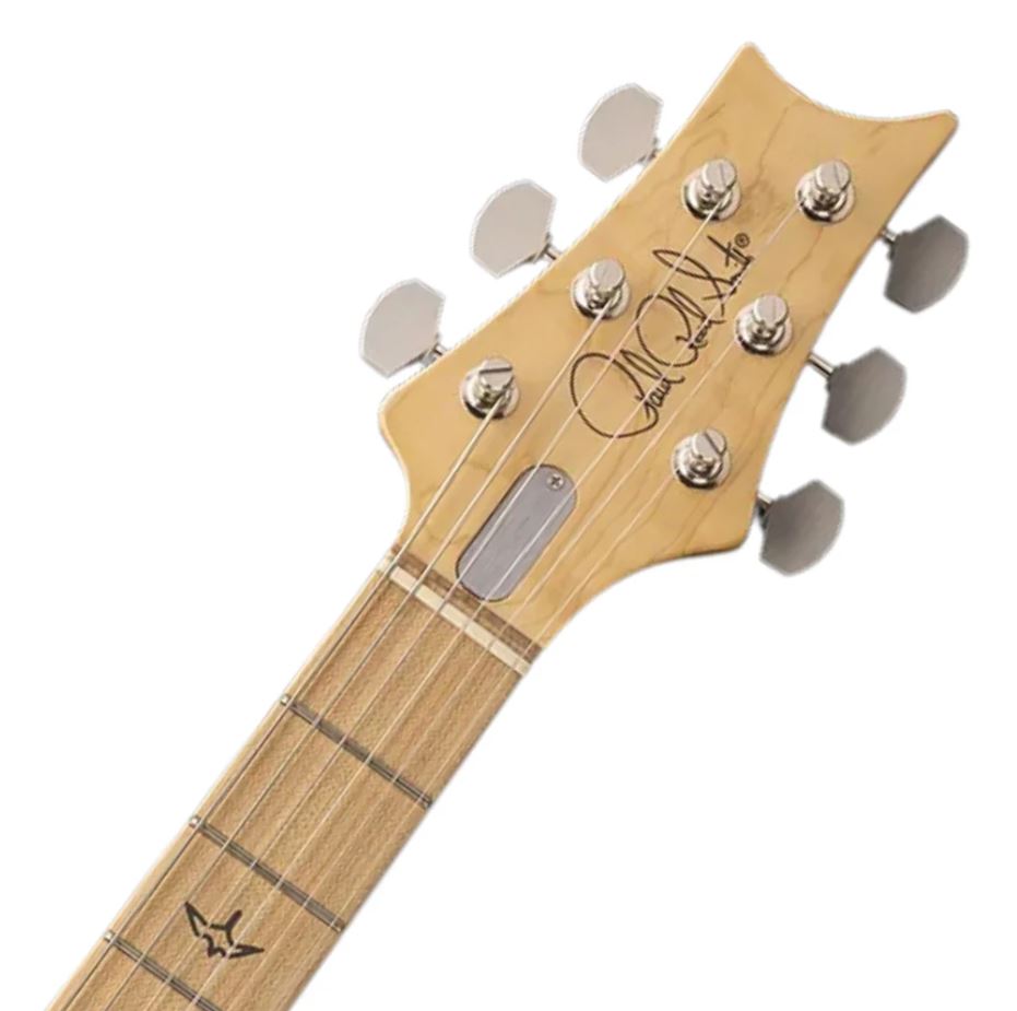 Prs John Mayer Silver Sky Usa Signature 3s Trem Mn - Golden Mesa - E-Gitarre in Str-Form - Variation 3