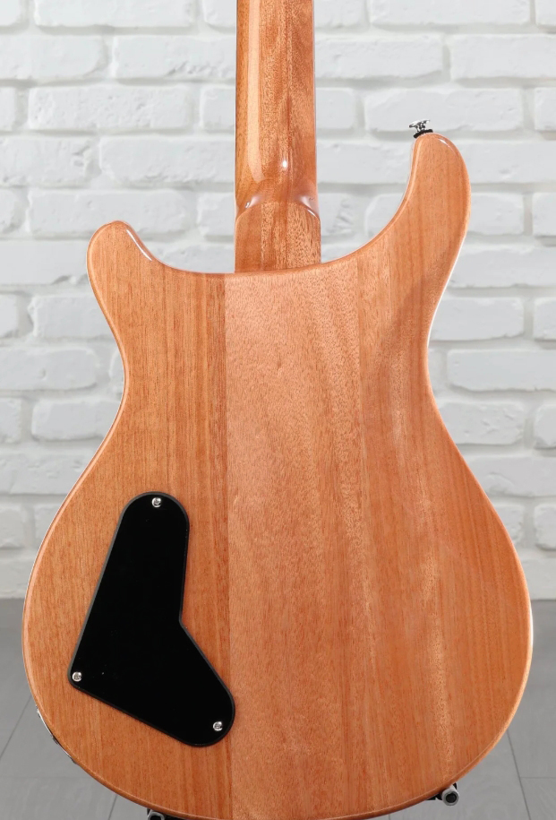 Prs Paul's Guitar Se (wing Tuners) 2h Ht Rw - Slate Blue - Double Cut E-Gitarre - Variation 5