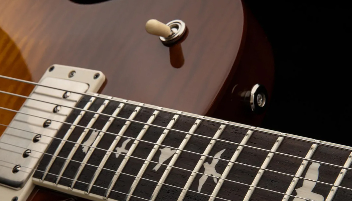 Prs S2 Mccarty 594 Singlecut Usa 2h 58/15lt Ht Rw - Honey Gold Burst - Single-Cut-E-Gitarre - Variation 3