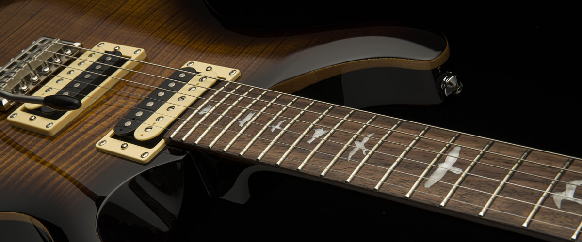 Prs Se Custom 24 2021 Hh Trem Rw +housse - Black Gold Burst - Double Cut E-Gitarre - Variation 1