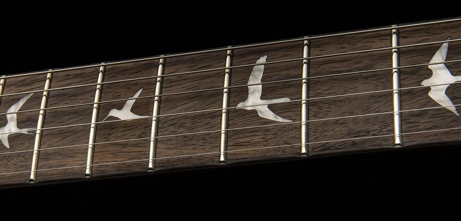 Prs Se Custom 24 2023 2h Trem Rw - Charcoal - Double Cut E-Gitarre - Variation 3