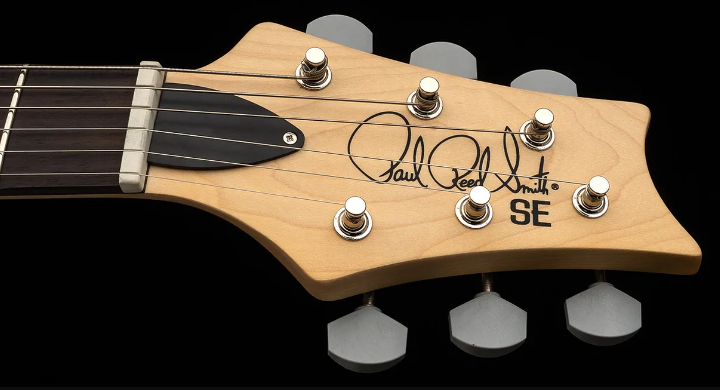 Prs Silver Sky Defender Se Ltd Signature 3s Trem Rw - Carpathian Grey - E-Gitarre in Str-Form - Variation 4