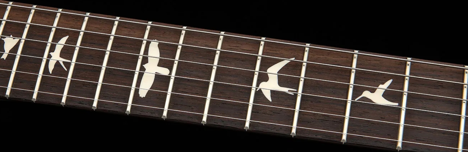 Prs Standard 22 S2 Usa 2h Trem Rw - Metallic Midnight - Double Cut E-Gitarre - Variation 3