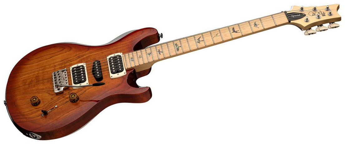 Prs Swamp Ash Special Se (wing Tuners) Hsh Trem Mn - Vintage Sunburst - Double Cut E-Gitarre - Variation 1