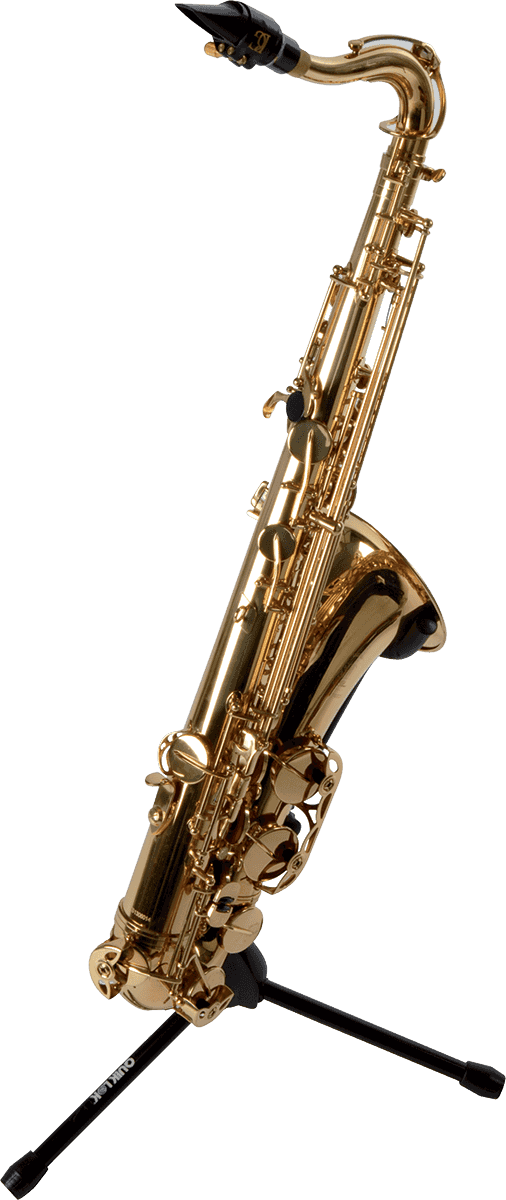 Quiklok Stand Pour Saxophone Alto/tÉnor - Saxophon Ständer - Variation 1