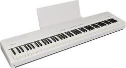 FP-40 WH
