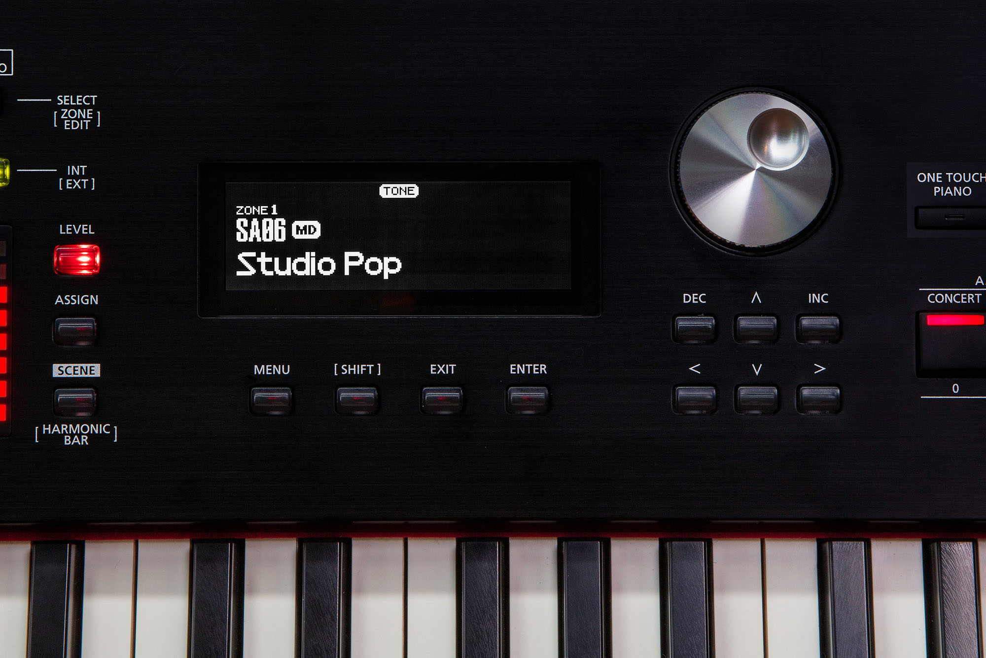 Roland Rd-2000 Ex - Stagepiano - Variation 5