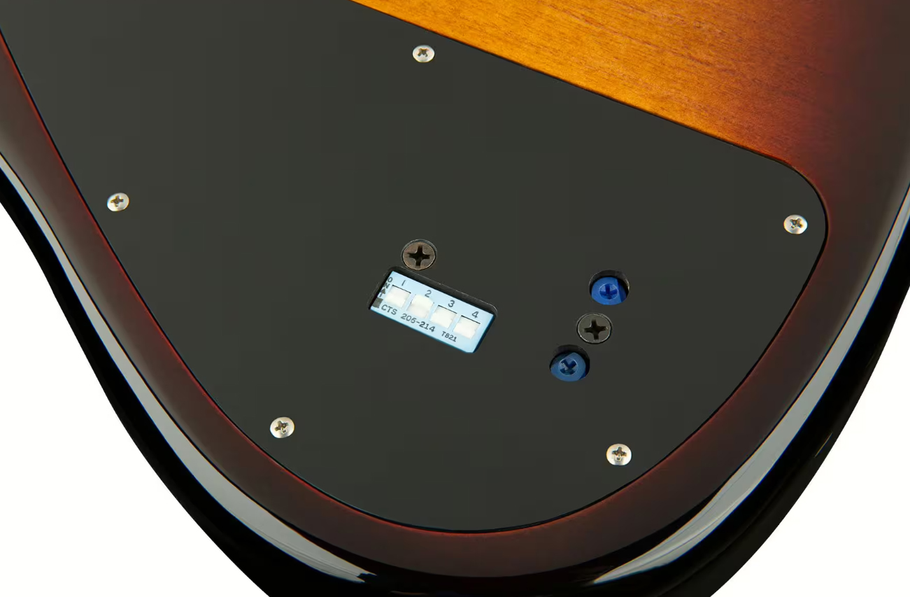 Sadowsky Will Lee 22-fret Ash 5c Metroline Signature All Active Mn - '59 Burst Transparent - Solidbody E-bass - Variation 4