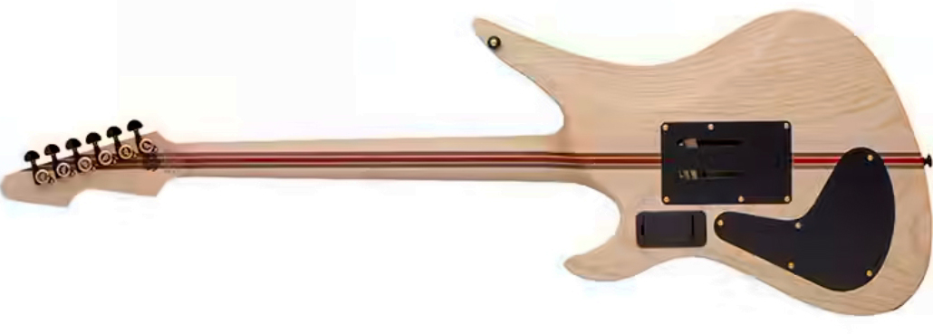 Schecter Avenger Fr-s 50th Ann. 2h Sustainiac Fr Eb - 50th Gold Burst - E-Gitarre aus Metall - Variation 1