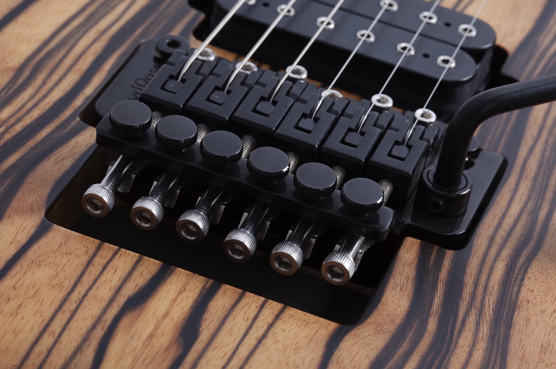 Schecter C1 Fr-s Pale Moon 2h Sustainac Fr Ric - Natural Satin Black Burst - E-Gitarre in Str-Form - Variation 4