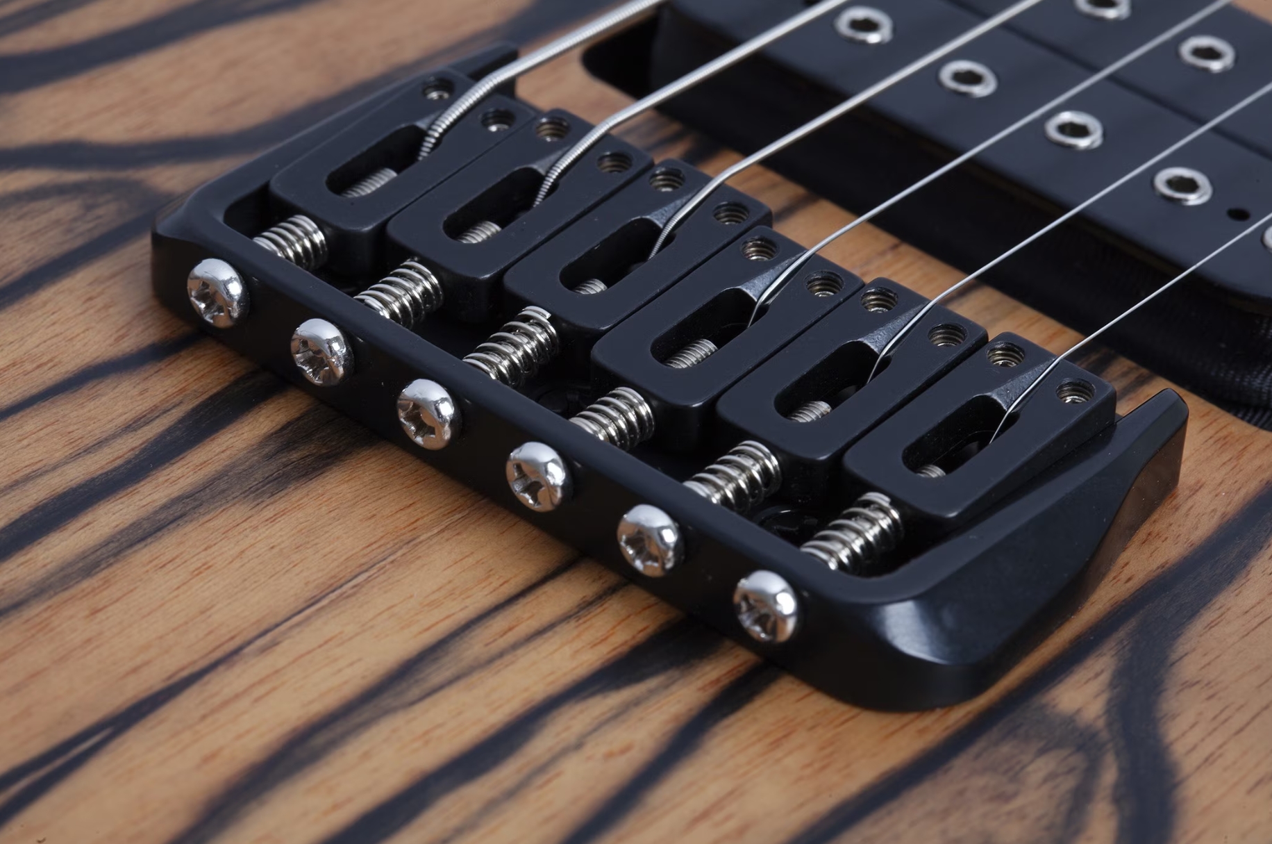 Schecter C1 Pale Moon 2h Ht Ric - Natural Satin Black Burst - E-Gitarre in Str-Form - Variation 4