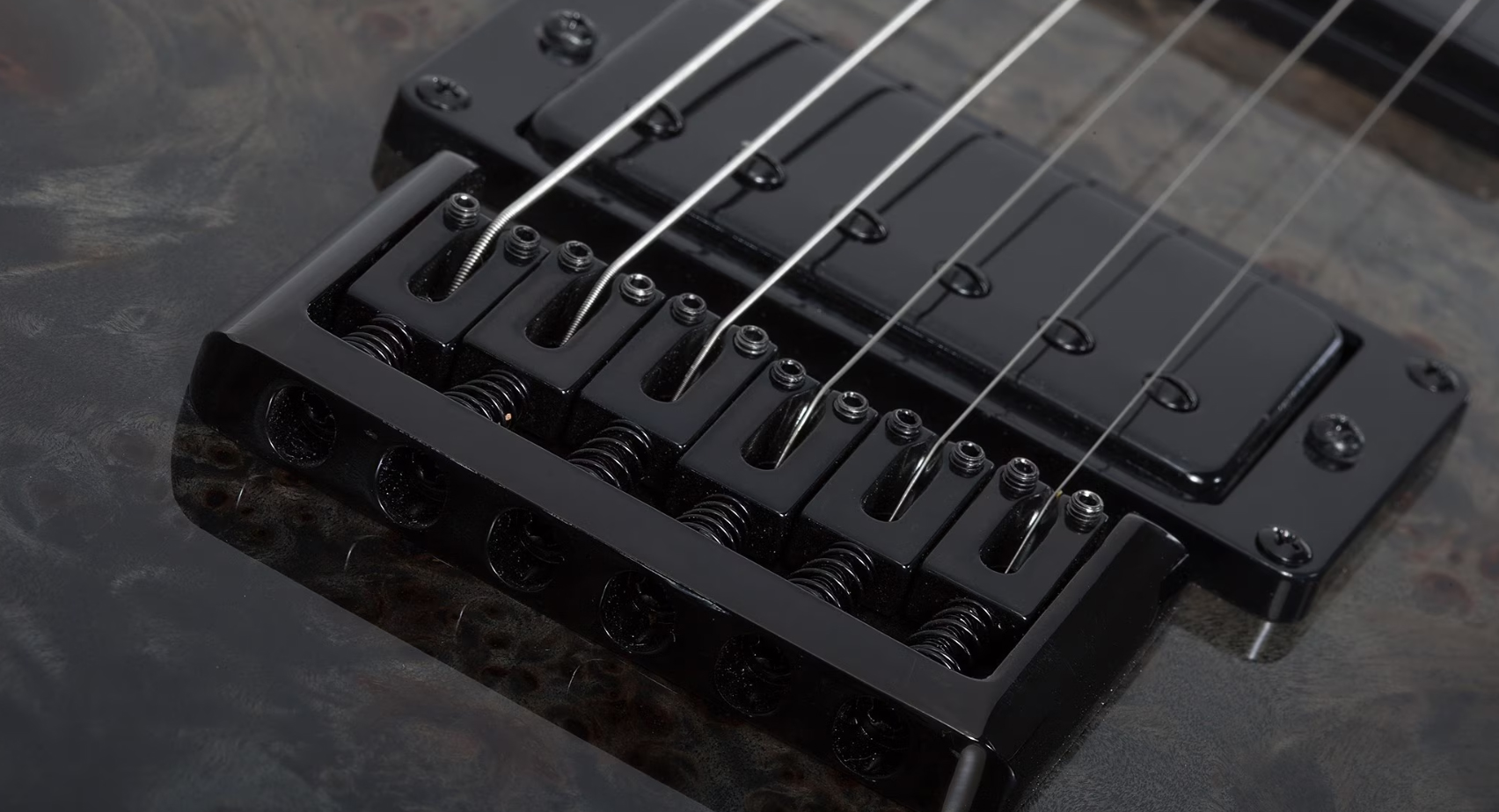 Schecter C1 Standard 2h Ht Rw - Black Fade Burst Burl - E-Gitarre in Str-Form - Variation 3