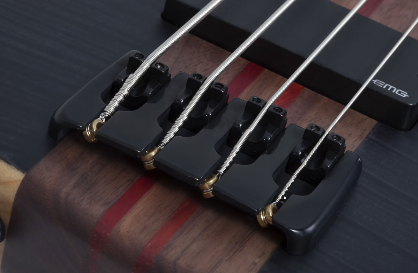 Schecter Charles Berthoud Cb4 Signature Active Eb - See Thru Black Satin - Solidbody E-bass - Variation 4