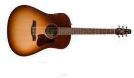 Seagull Entourage Dreadnought Epicea Merisier +housse - Autumn Burst - Folk-Gitarre - Main picture