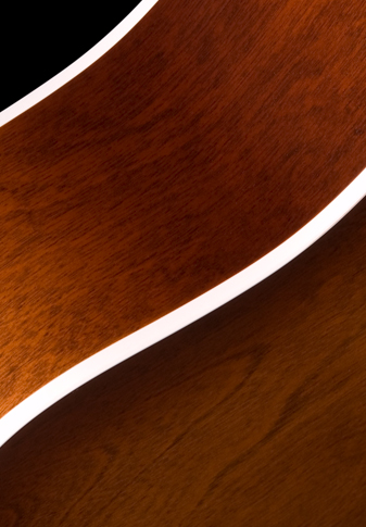 Seagull Entourage Dreadnought Epicea Merisier - Autumn Burst - Westerngitarre & electro - Variation 4