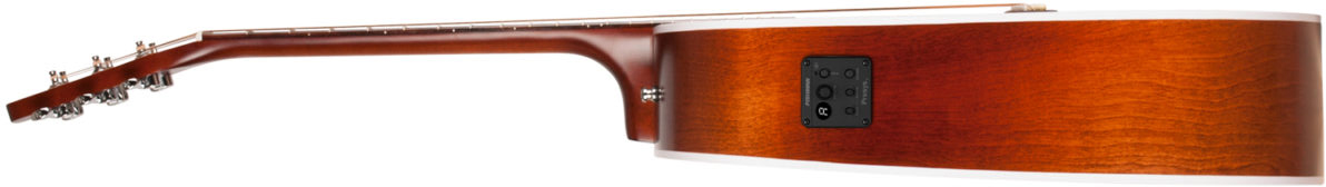Seagull Entourage Presys Ii Dreadnought Epicea Merisier Rw - Autumn Burst - Elektroakustische Gitarre - Variation 2