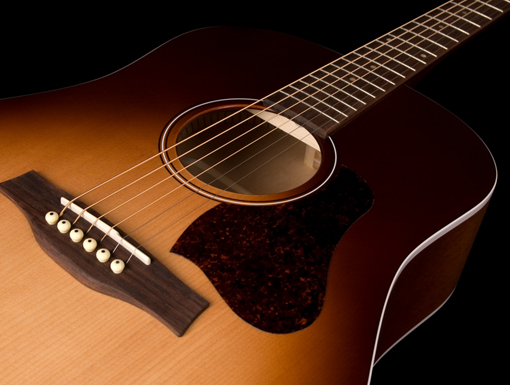 Seagull Entourage Presys Ii Dreadnought Epicea Merisier Rw - Autumn Burst - Elektroakustische Gitarre - Variation 3