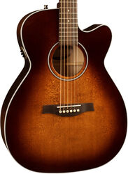 Folk-gitarre Seagull Performer CW Concert Hall QIT - Hg burnt umber