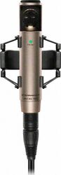 Sennheiser MKH800 Twin NI