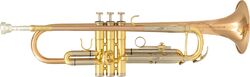 Anfänger-trompete Sml Trompette Sib TP600