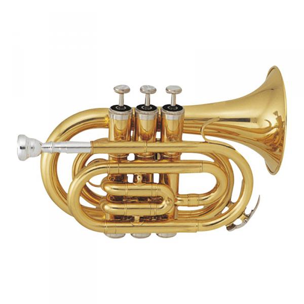 Anfänger-trompete Sml TP50 - Laiton verni