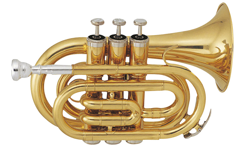 Sml Tp50 De Poche Sib Vernie - Anfänger-Trompete - Variation 1