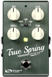 Reverb/delay/echo effektpedal Source audio True Spring One Series