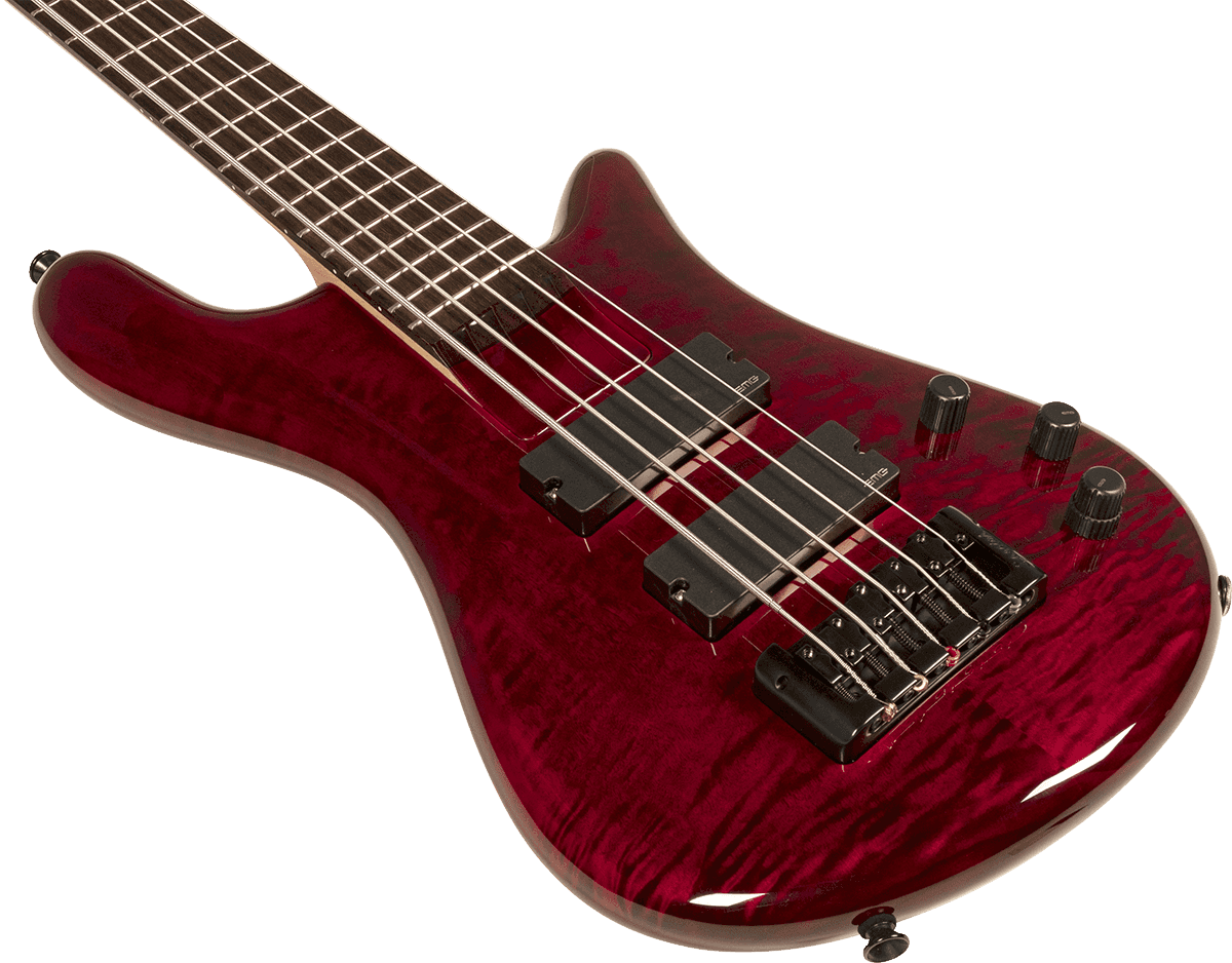 Spector Bantam 5c Diapason Court Active Emg Rw - Black Cherry - Solidbody E-bass - Variation 3