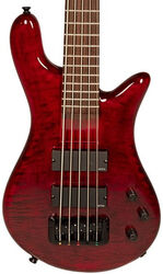 Solidbody e-bass Spector                        Bantam 5 - Black cherry