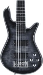 LEGEND SERIE STANDARD 5 - black stain