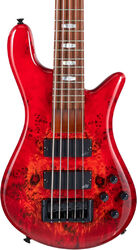 Solidbody e-bass Spector                        NS Eurobolt 5 - Inferno red gloss