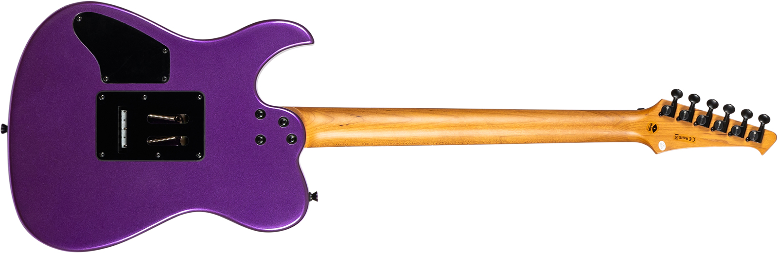 Spira Guitars T420 Pp 2h Fr Eb - Metallic Purple - E-Gitarre in Teleform - Variation 1