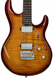 E-gitarre in str-form Sterling by musicman Steve Lukather Luke LK100 - Hazel burst