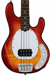 Solidbody e-bass Sterling by musicman Stingray Ray34FM (RW) - Heritage cherry burst