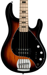 StingRay 5 Sub Series - vintage sunburst