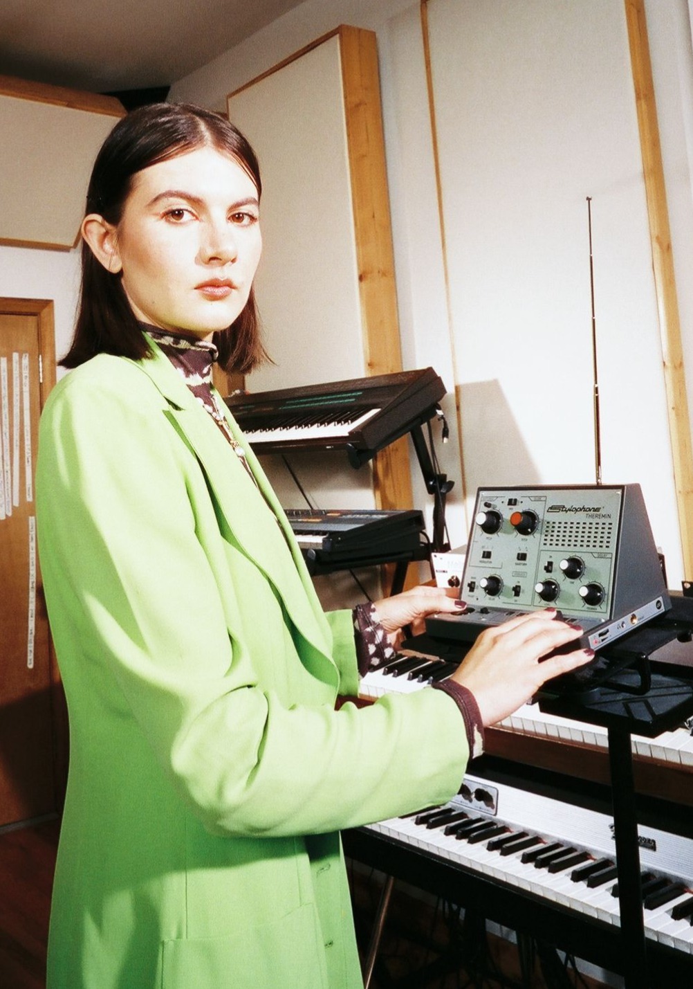 Stylophone Theremin - Synthesizer - Variation 9