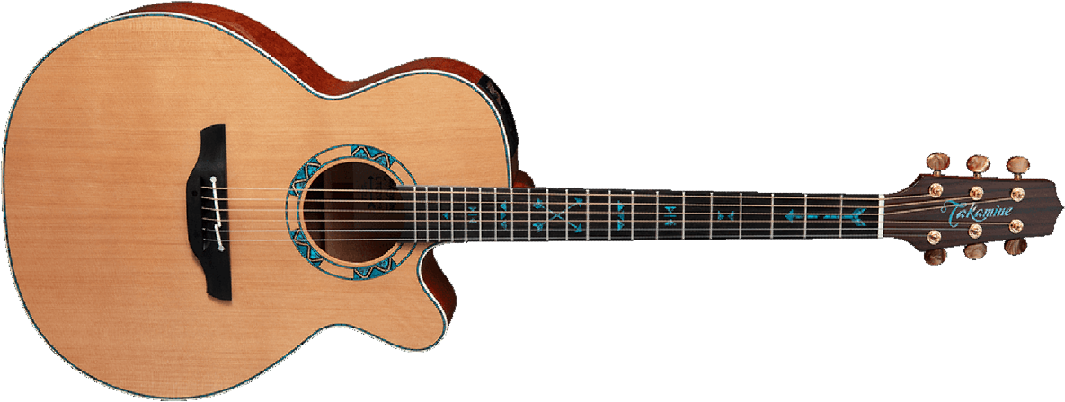 Takamine Nex Santa Fe 30th Anniversary Cw Cedre Chene Eb - Natural - Elektroakustische Gitarre - Main picture