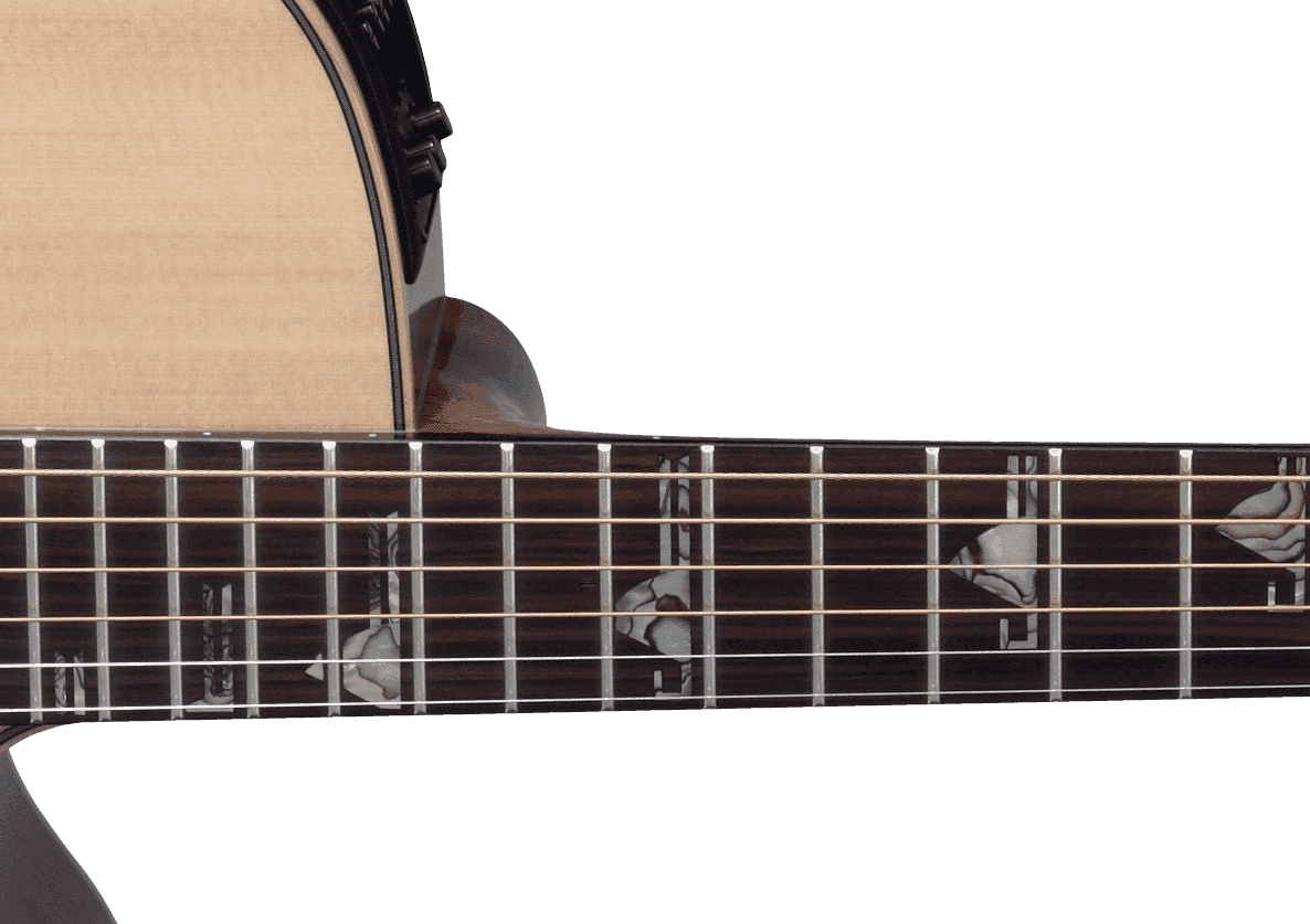 Takamine Dsf48c Nex Jap Epicea Palissandre Eb Ctf2n - Natural - Folk-Gitarre - Variation 2