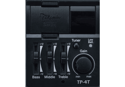 Takamine Gn20ce-ns Nex Cw Cedre Acajou - Natural Satin - Folk-Gitarre - Variation 2