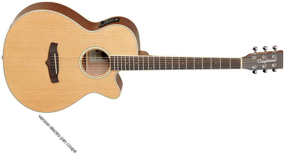 Tanglewood Tw9 Winterleaf Super Folk Auditorium Cedre Acajou Tec - Natural Satin - Westerngitarre & electro - Main picture