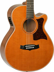 Folk-gitarre Tanglewood TW45 H E Heritage