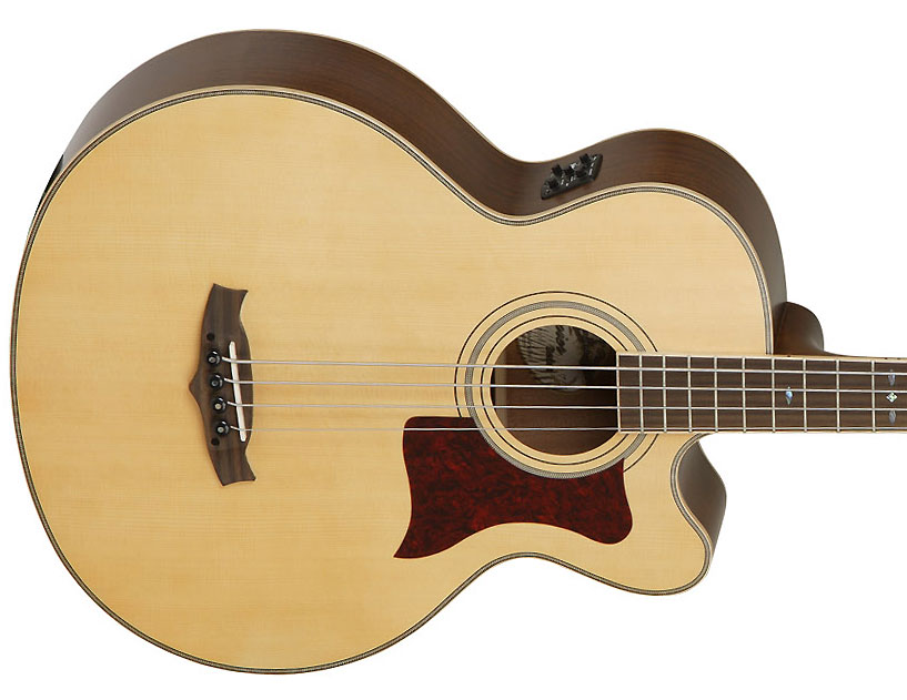 Tanglewood Tw155a Bass Premier Super Jumbo Cw - Natural Satin - Akustische Bass - Variation 2