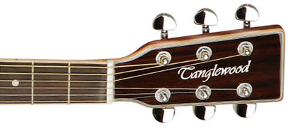 Tanglewood Tw28 Csn Ce Evolution V Dreadnought Cw Cedre Acajou - Natural Satin - Elektroakustische Gitarre - Variation 3